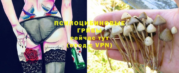 мдпв Армянск