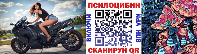 ссылка на мегу ССЫЛКА  Малгобек  Галлюциногенные грибы Psilocybine cubensis 